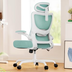 Ergonomic High-Back Mesh Office Chair with Adjustable Lumbar Support and Casters