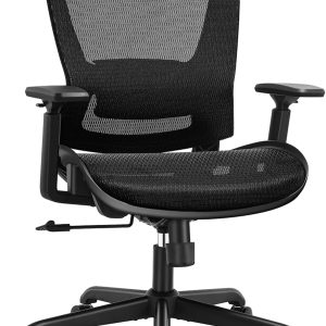 Mesh Ergonomic Computer Chair, Sturdy and Durable Office Chair, Adjustable Lumbar Support with Armrests, Reclining Function, Wide Seat, Swivel, Home Use, Black