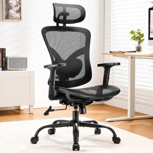 Ergonomic Mesh Office Chair, 2D Headrest, Adjustable Lumbar Support, Height-Adjustable Armrests